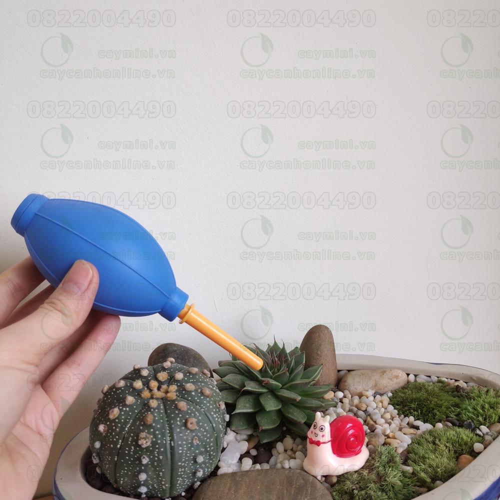 Bóng cao su xịt bụi