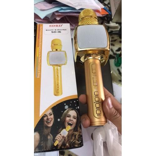 Mic Karaoke SD-16 KÈM LOA
