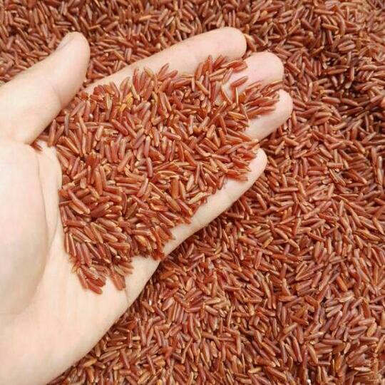 3kg gạo lứt huyết rồng