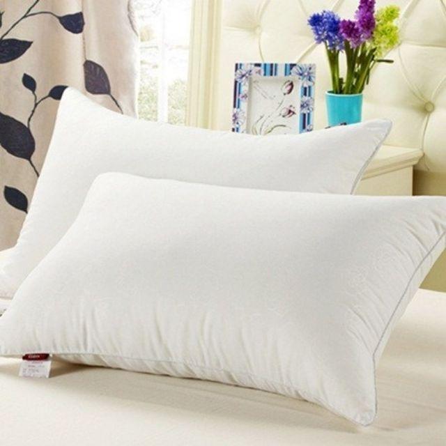Com bo 2 ruột gối loại to 50 x 70 cm