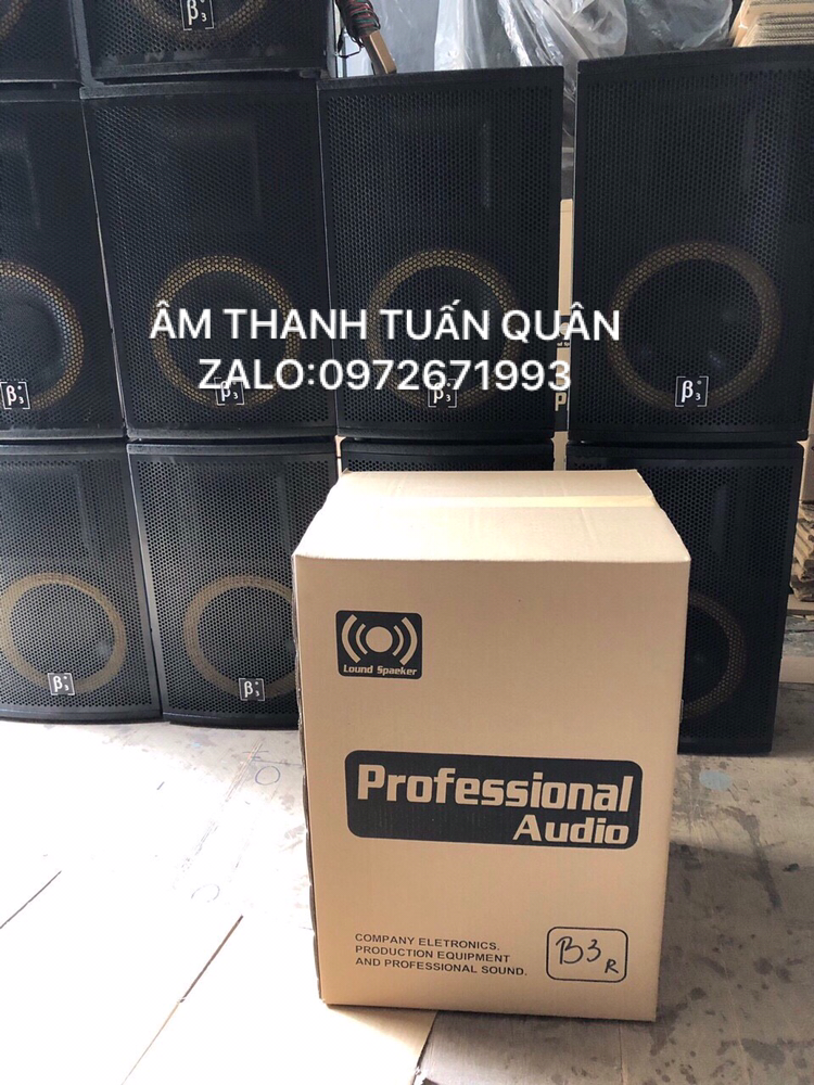 LOA B3 CHINA - GIÁ 1 CHIẾC