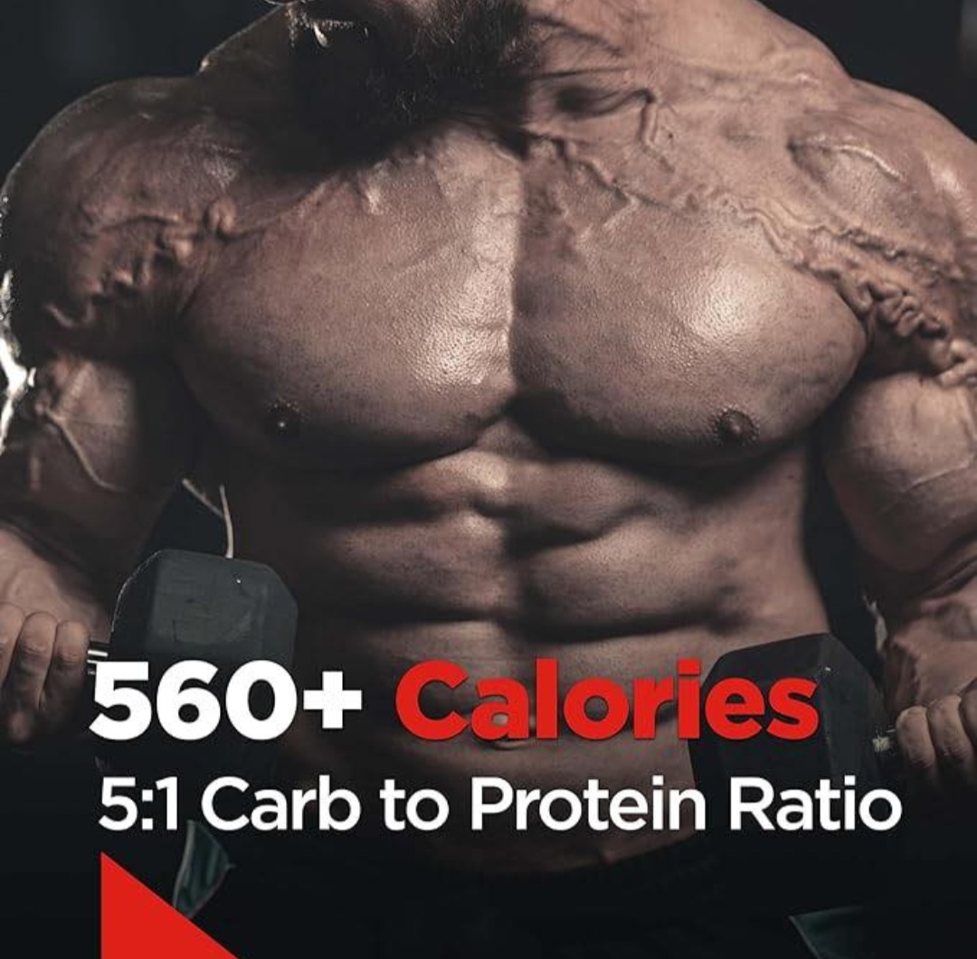 Lean gainer Rule 1 Clean Gainer 4.8lb