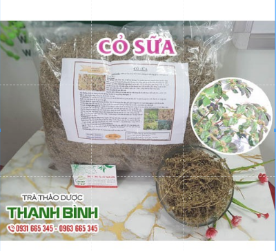 Cây Cỏ Sữa Lá Nhỏ 100g - Thảo Dược Thanh Bình