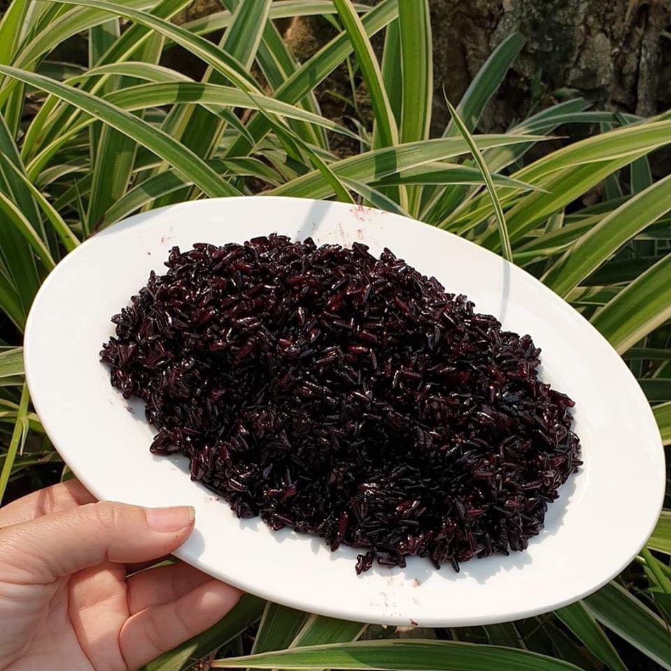 (Chính hãng) Gạo Lứt Đen Phúc Thọ - Vinaseed (1kg)