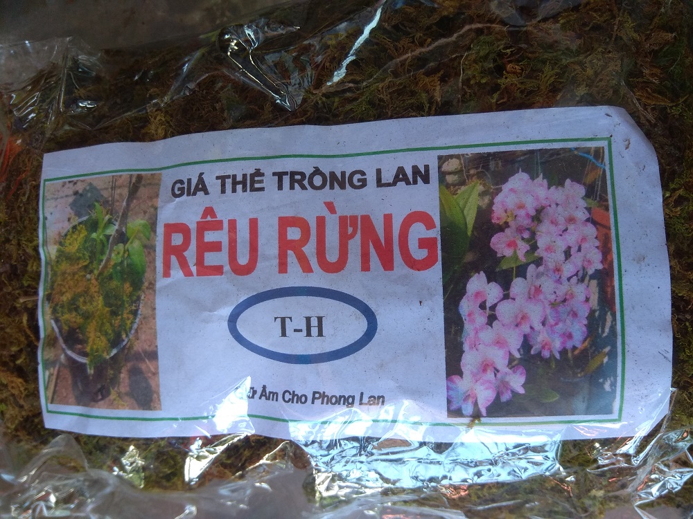 [HCM]Rêu rừng trồng lan - gói 100 gram