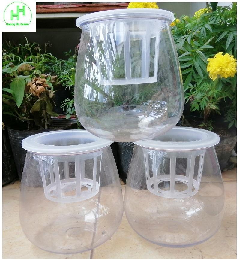 ComBo 3 Chậu Nhựa Trồng Cây Thủy Sinh, Kích Thước 10x10x13Cm