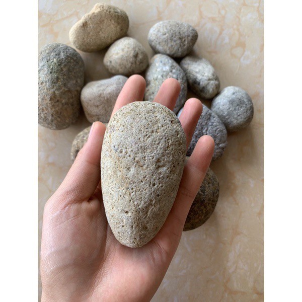 Đá kì tắm tự nhiên tẩy da chết size To