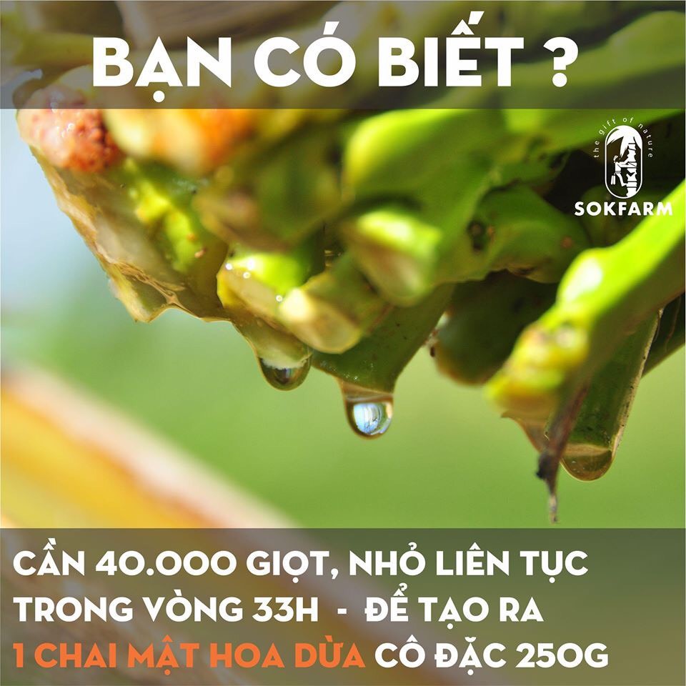 [HCM]MẬT HOA DỪA CÔ ĐẶC SOKFARM 250G