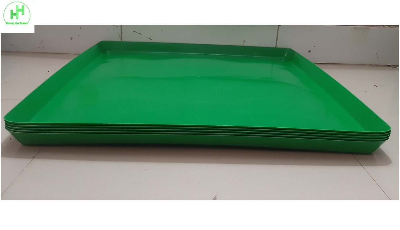 5 Khay/Máng Hứng Phân Chim, Khay Đựng Phân Gà, Khay Hứng Phân Chim Bồ Câu, Kích Thước 49x49Cm