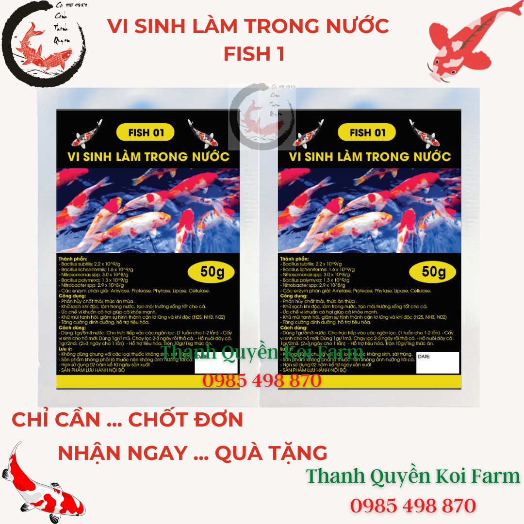 Vi sinh làm trong nước bể cá hồ cá koi cá cảnh FISH 01