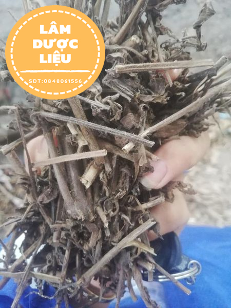 1Kg Nhân Trần khô - đẹp