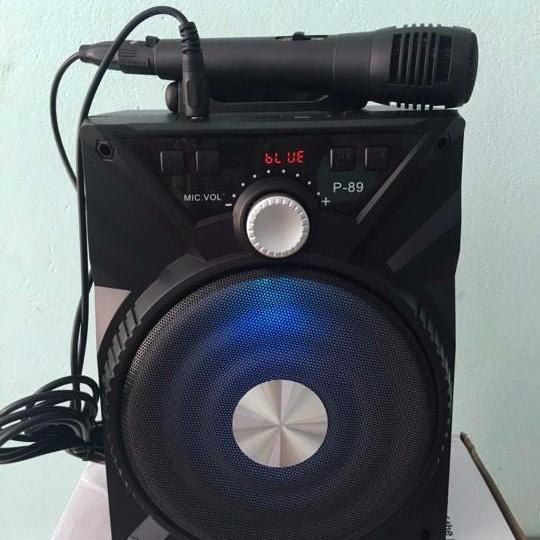 LOA MINI P-88