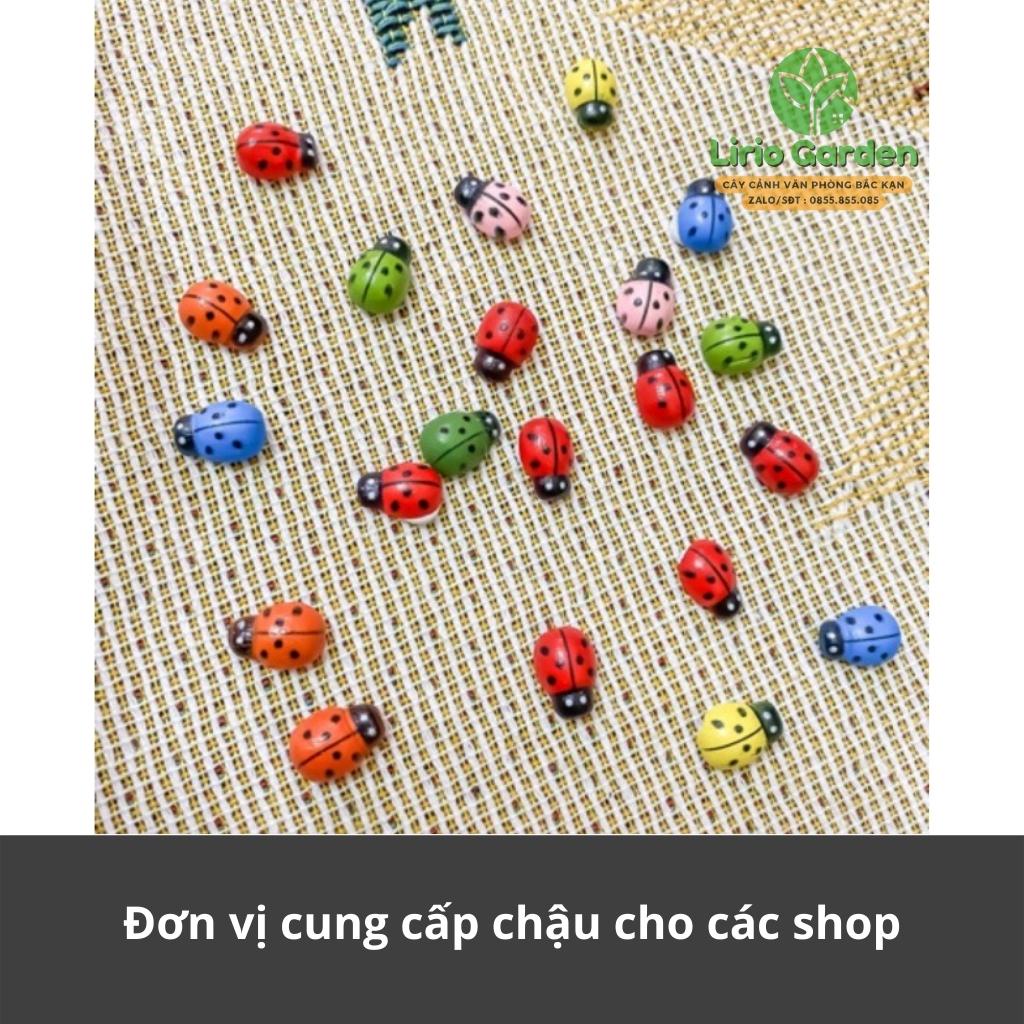 bọ cánh cam mini trang trí tiểu cảnh