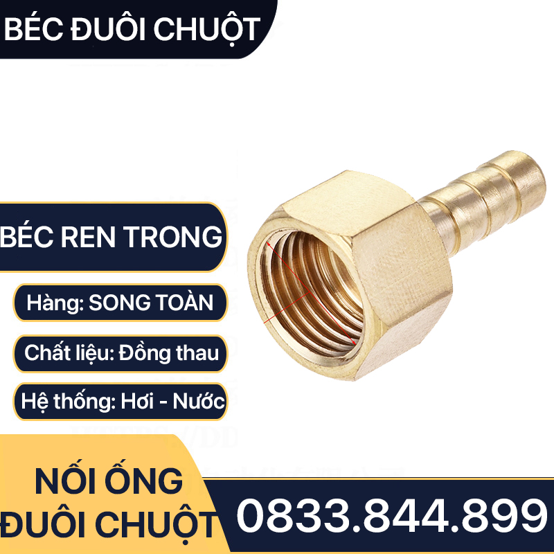 Đầu Nối Ren Trong 17 Đuôi Chuột Cắm Ống Mềm Lòng Trong Đồng Brass Barbed Hose Fitting