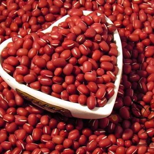 Xích tiểu đậu (đậu đỏ hạt nhỏ) 500Gr
