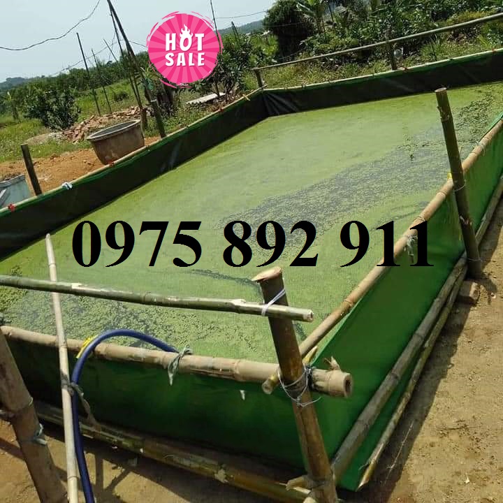 Bể bạt nuôi ốc ếch cá lươn - xanh bộ đội