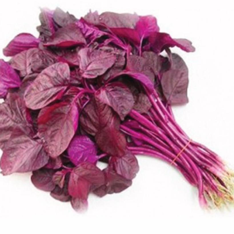 [HCM]Gói 20g hạt giống rau dền đỏ - Nanuseeds