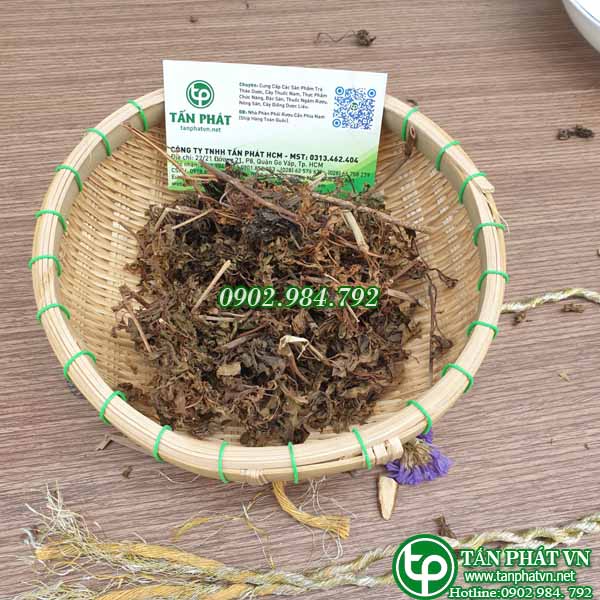 [HOT] Lá đinh lăng sấy khô hảo hạng 1kg