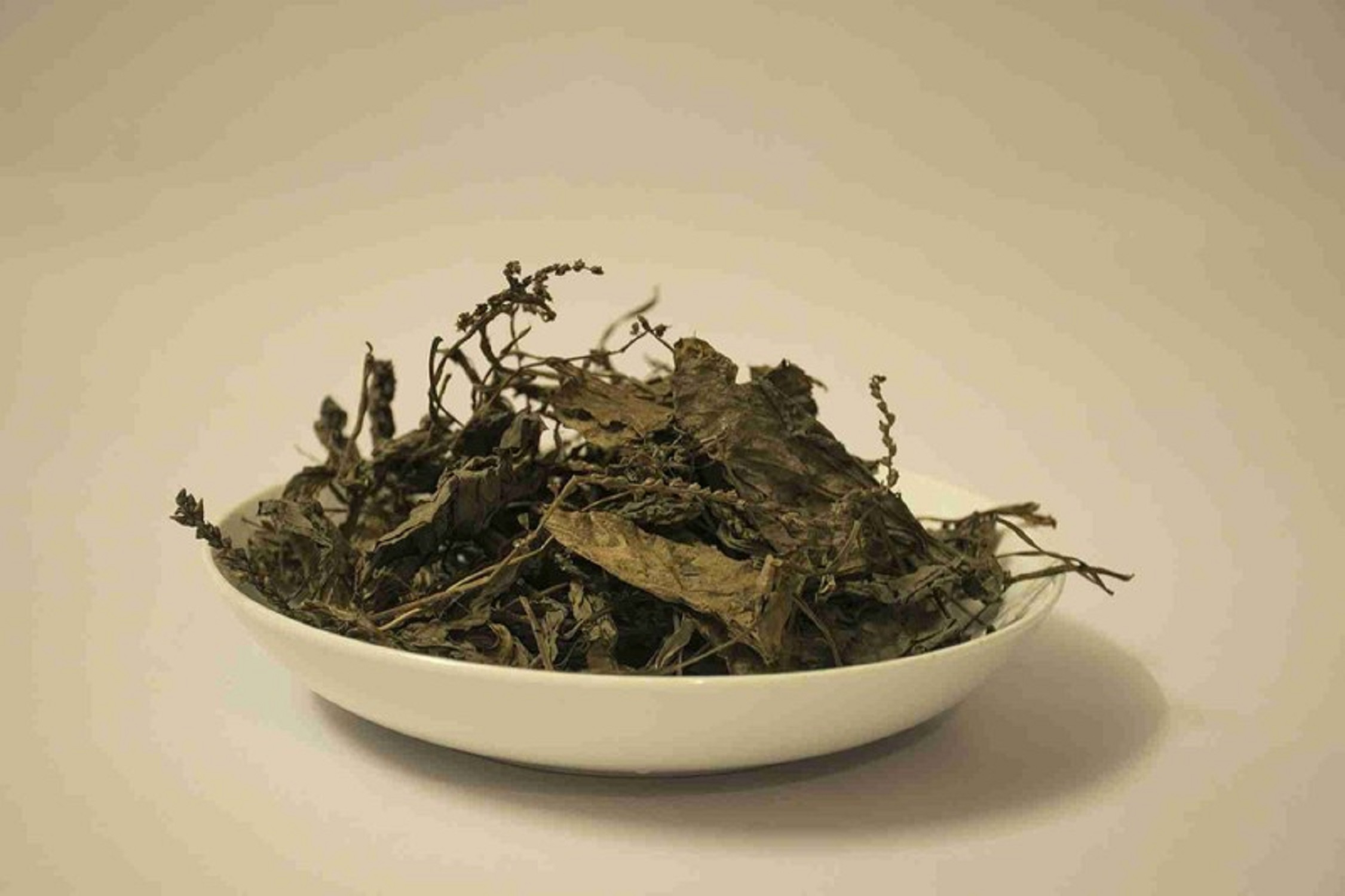 [HCM]CÂY MÃ ĐỀ HỮU CƠ 500GRAM Tiệm Thuốc Bắc Sài Gòn