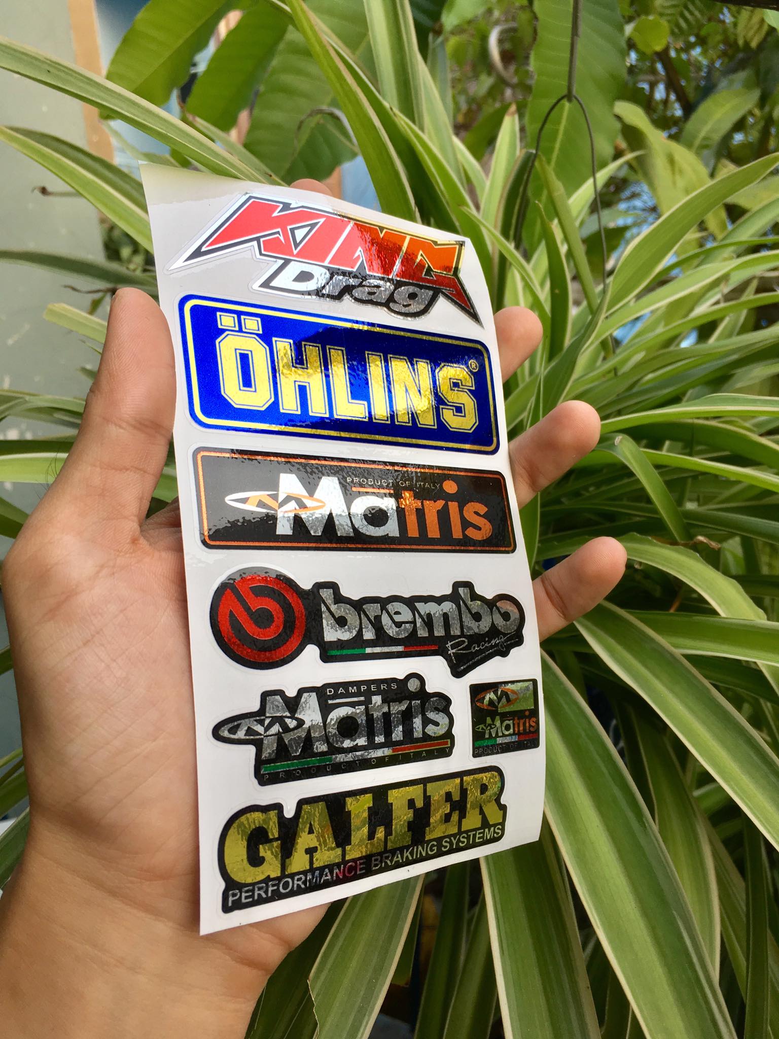 [HCM]TEM LOGO SI CROM KING DRAG OH MATRIX
