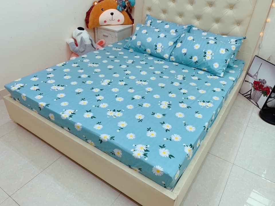Bộ Ga Kèm 2 Áo Gối Cotton - Đủ Size