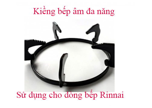 Bộ 2 kiềng bếp ga âm Rinnaisunhouse...