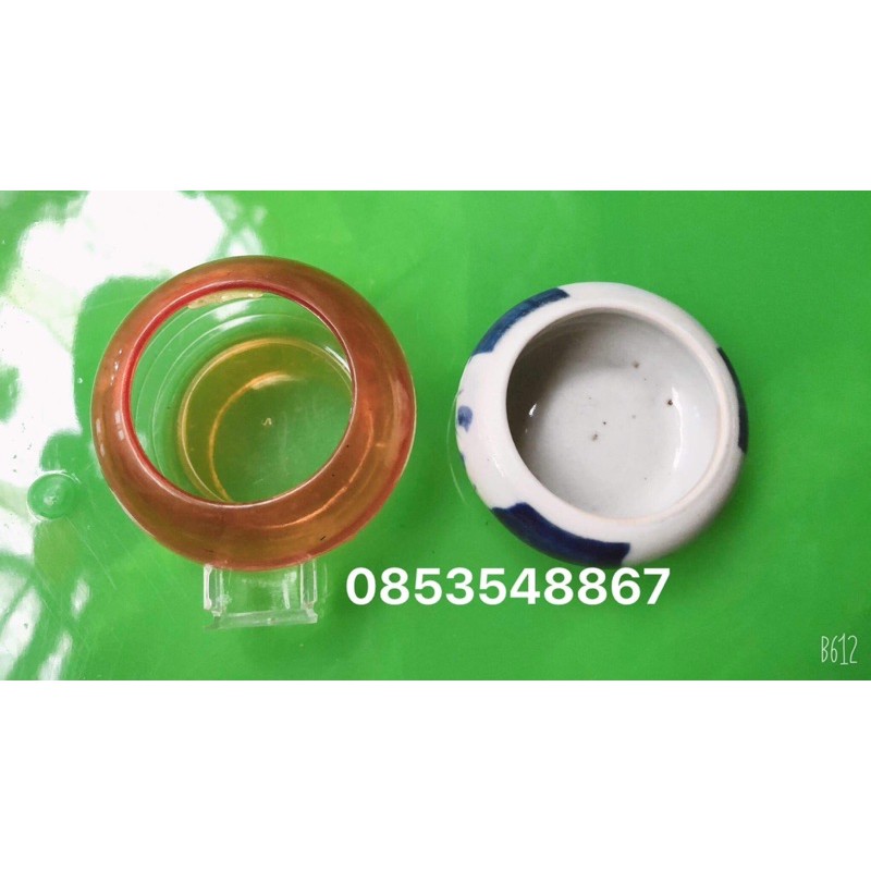Chén Đựng Sâu Cho Chim Chích Choè