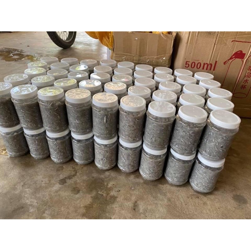 Mắm cá cơm - hủ 500g