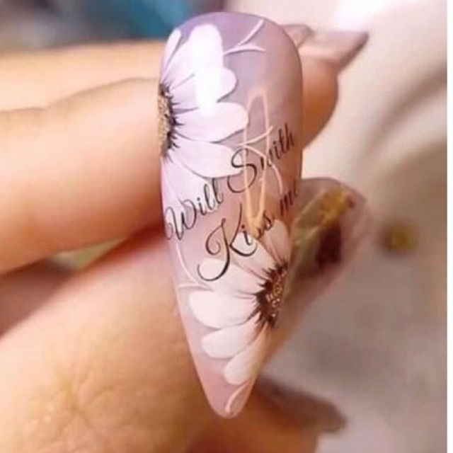 Cọ vẽ hoa cúc chuẩn xịn