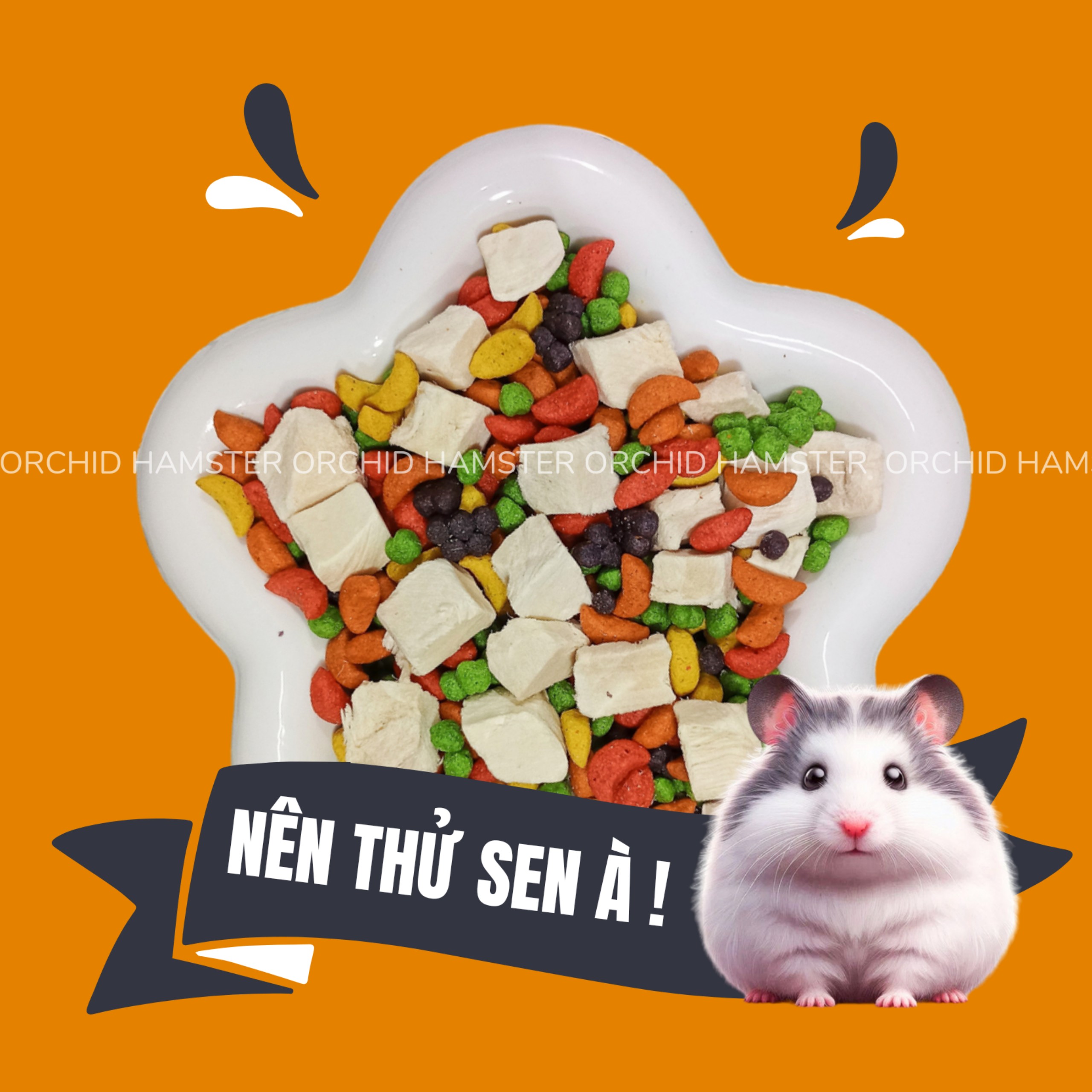 Thức Ăn Hamster Kaytee Mix Gà Dành Cho Hamster/Sóc/Bọ Và Thú Cưng