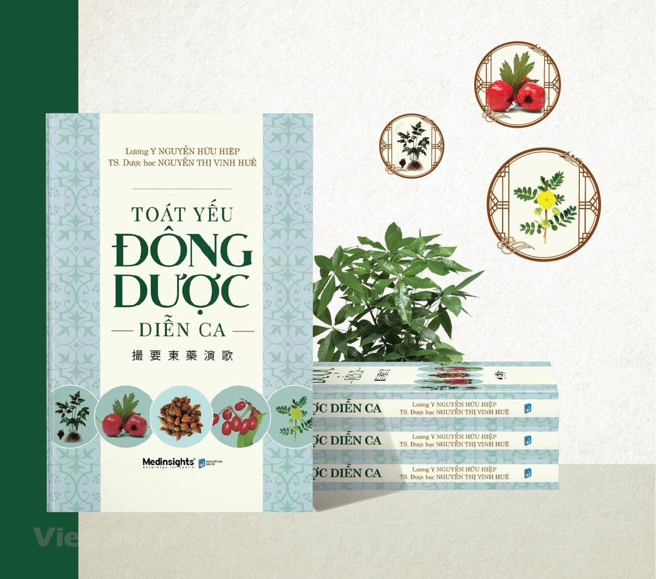 Sách - Toát Yếu Đông Dược Diễn Ca