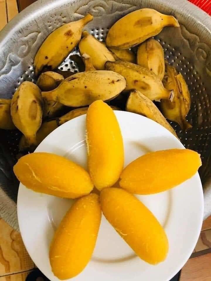 Cây giống chuối sáp nghệ