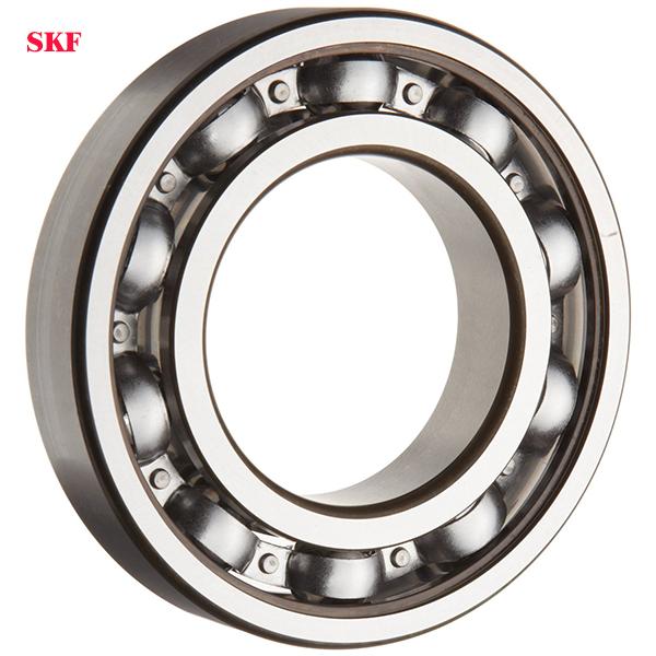 Vòng bi SKF 6002-2Z, 6002-2Z/C3