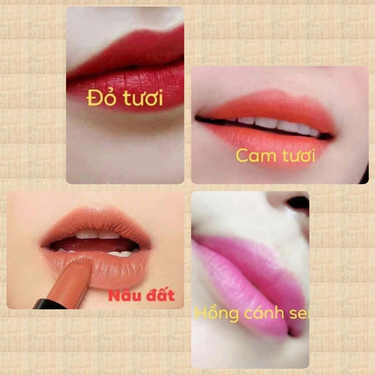 SON LÌ KHÔNG CHÌ, KHÔNG THÂM MÔI Rb HÀN QUỐC