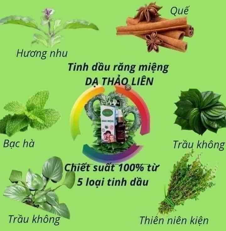 [CHÍNH HÃNG] Tinh Dầu Răng Miệng Dạ Thảo Liên - Khắc Phục Những Vấn Đề Về Răng Miệng