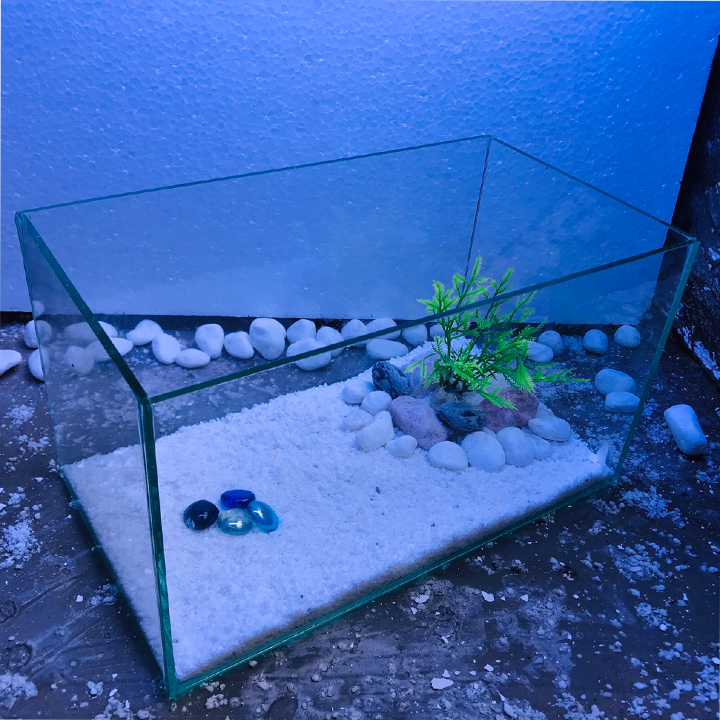 Bể cá để bàn - 30x17x17 tặng phụ kiên- hồ cá mini