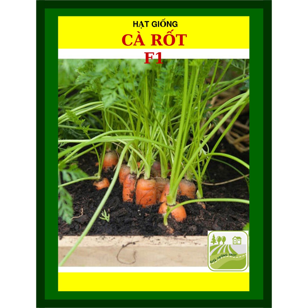 Hạt Giống Cà Rốt Baby, Thịt Củ Chắc 20 Gram