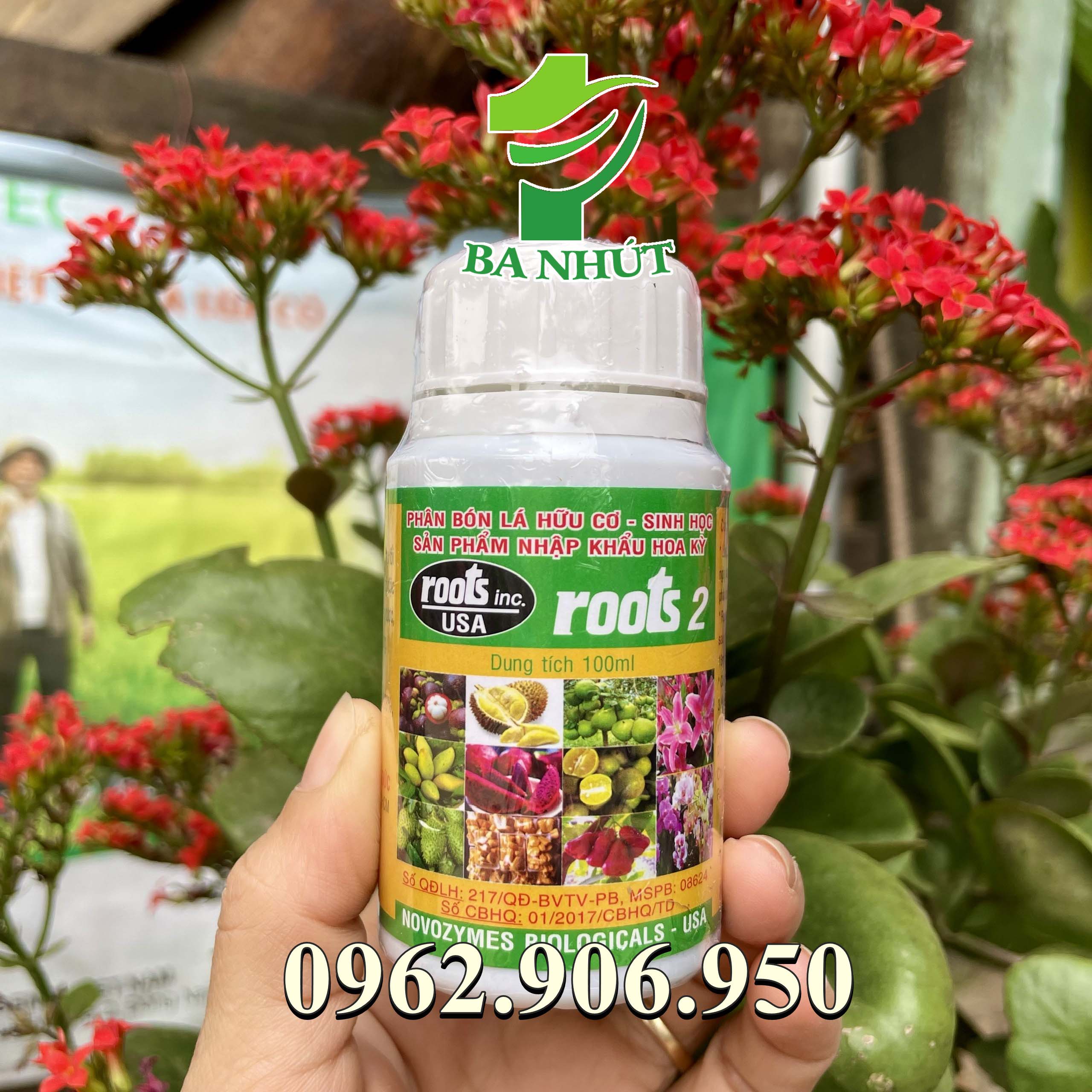 Phân bón lá cao cấp kích ra rễ roots 2 hoa kỳ