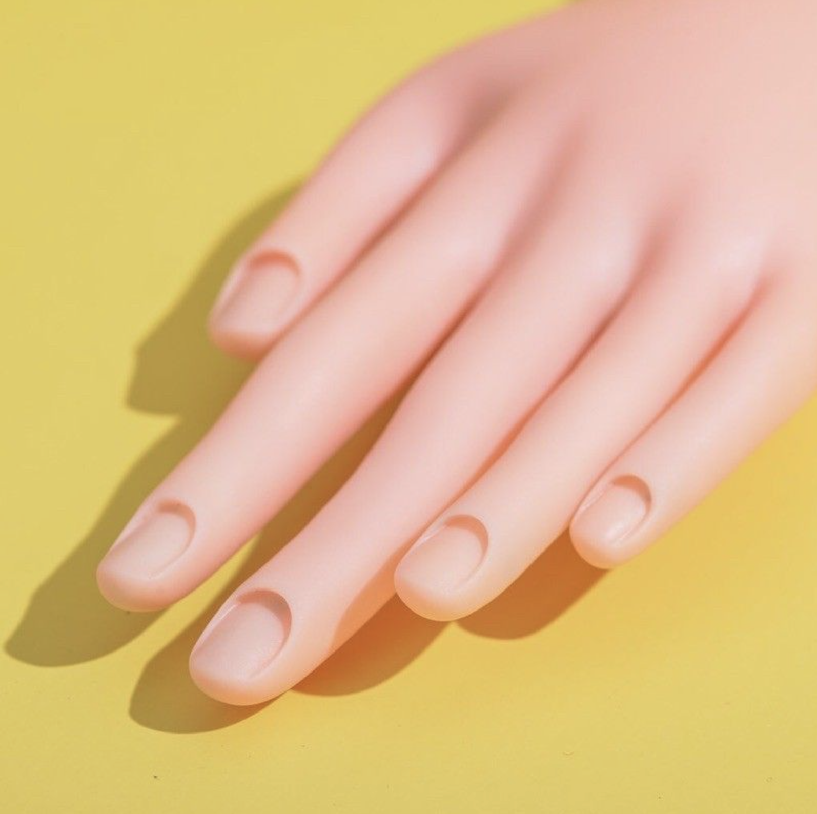 [HCM]NAIL bàn tay giả Silicon