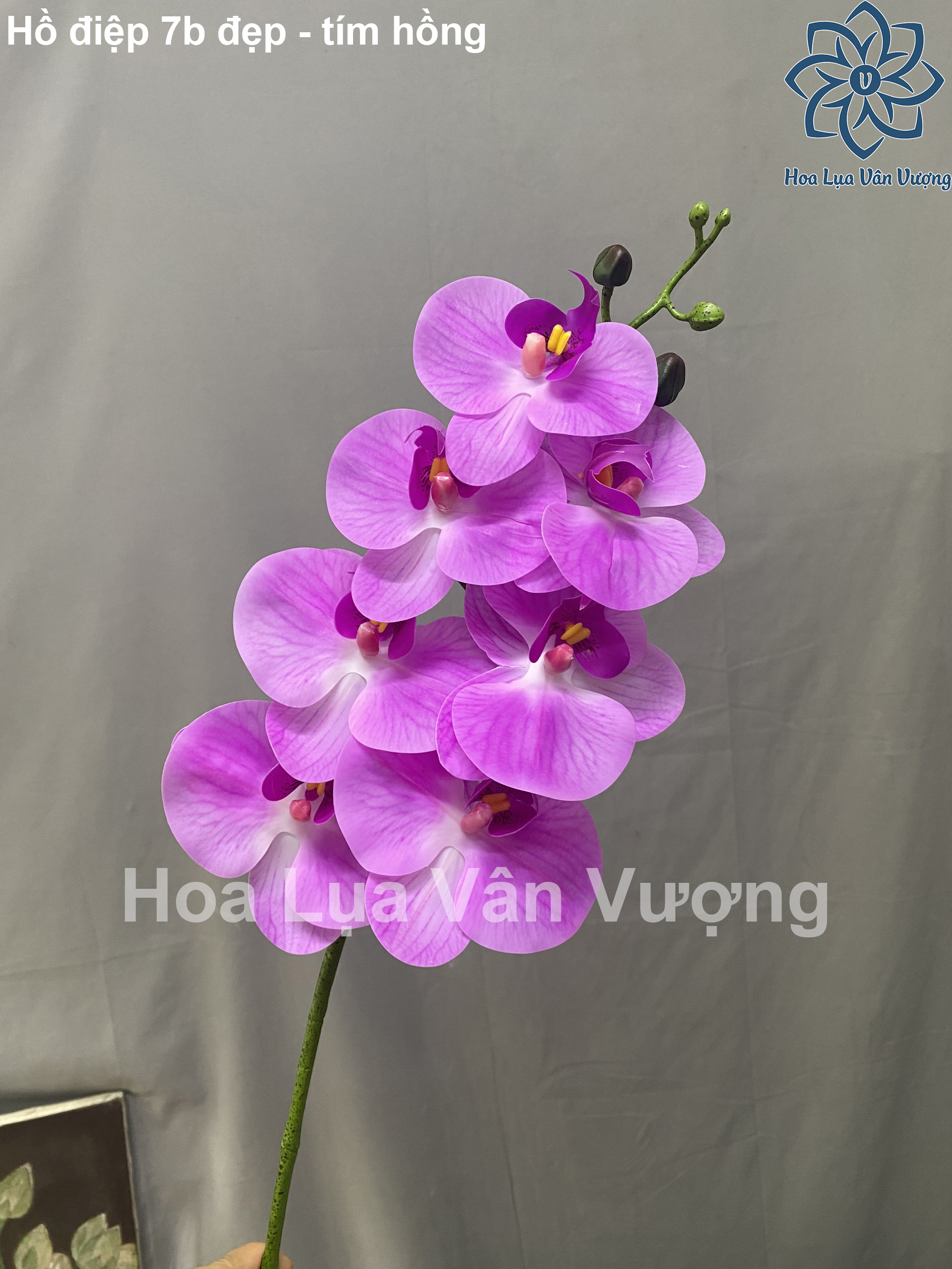 Hoa Giả Hoa Lan Hồ Điệp Cao Su 7 Bông