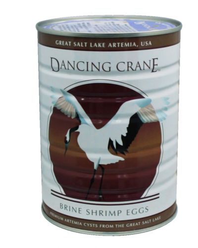 Artemia Mỹ dancing crane