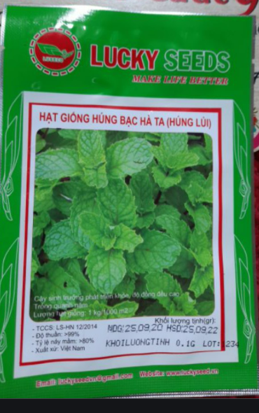 Hạt Giống Húng Lủi