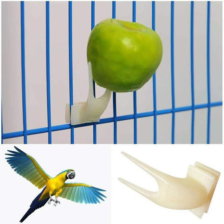 Xiên trái cây nhỏ cho chim vẹt