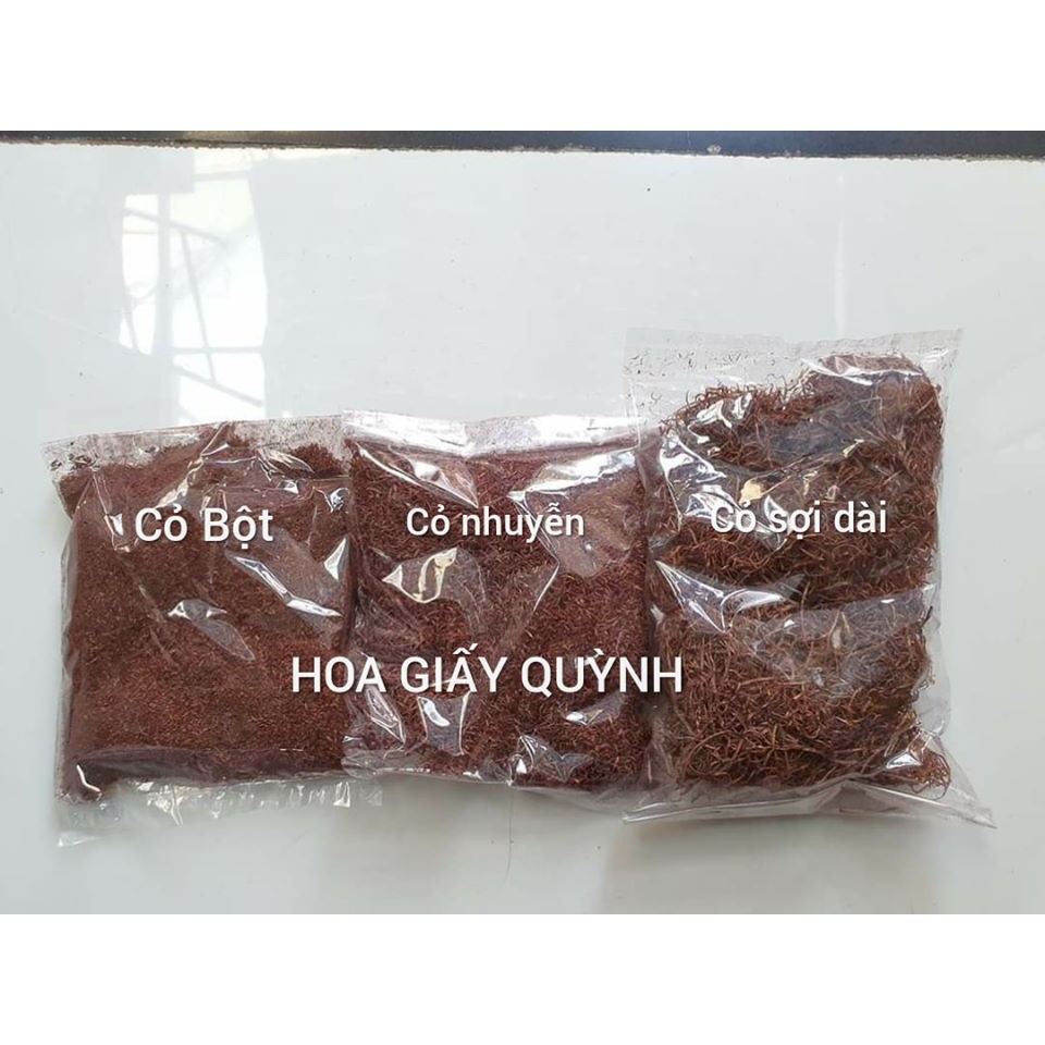 Cỏ sợi-nhuyễn-bột trang trí chậu hoa handmade