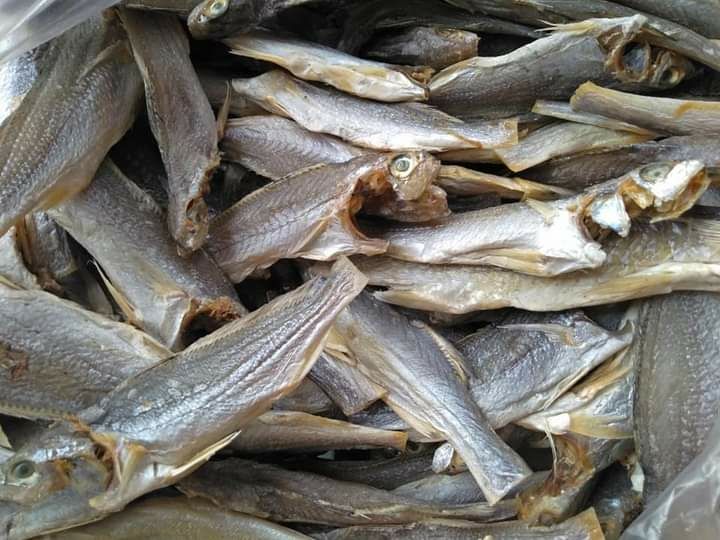 500gram khô Cá Lù Đù - ĐẶC SẢN MIỀN TÂY