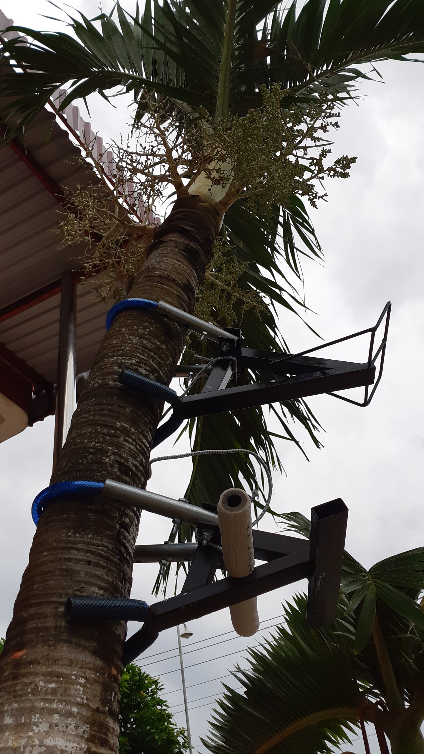 Climbing Tools