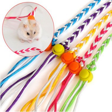 dây dắt hamster - sóc - thỏ - bọ bằng vải