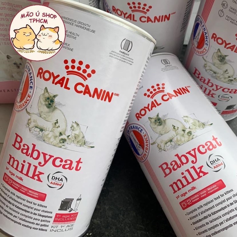 SỮA BỘT CHO MÈO ROYAL CANIN BABYCAT MILK-HỘP 300g