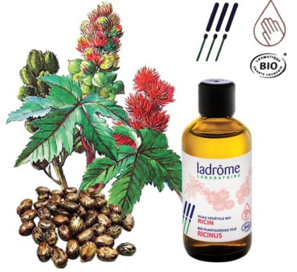 Dầu Thầu Dầu hữu cơ - Organic Castor Oil