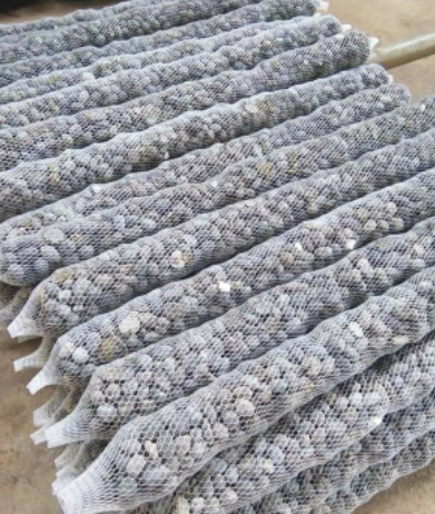 Phân dê bón lan đóng thanh 50cm đã qua xử lý